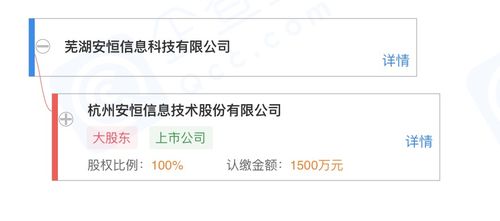 安恒信息在蕪湖投資成立新公司，加碼云計算裝備技術服務布局